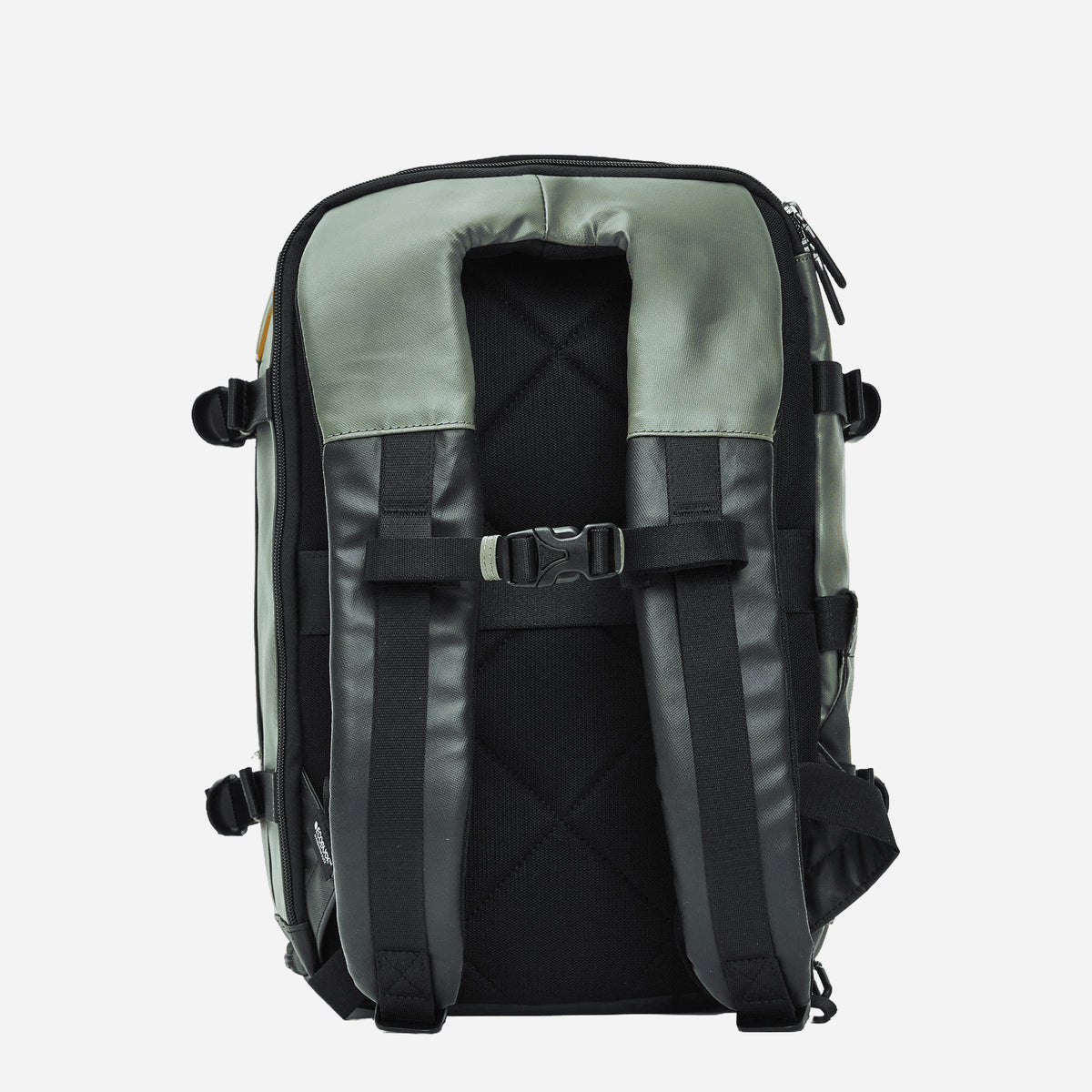 mandarina duck  PINE GREEN 