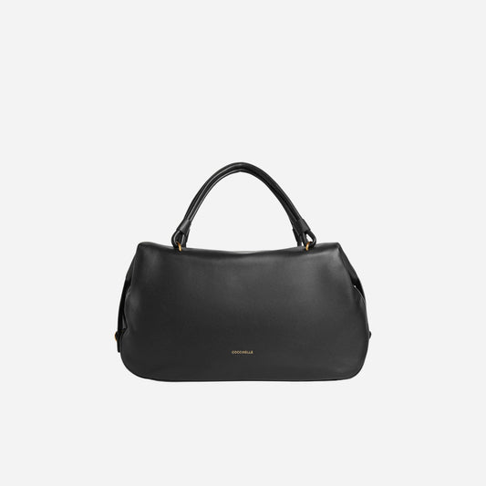 coccinelle  NOIR 