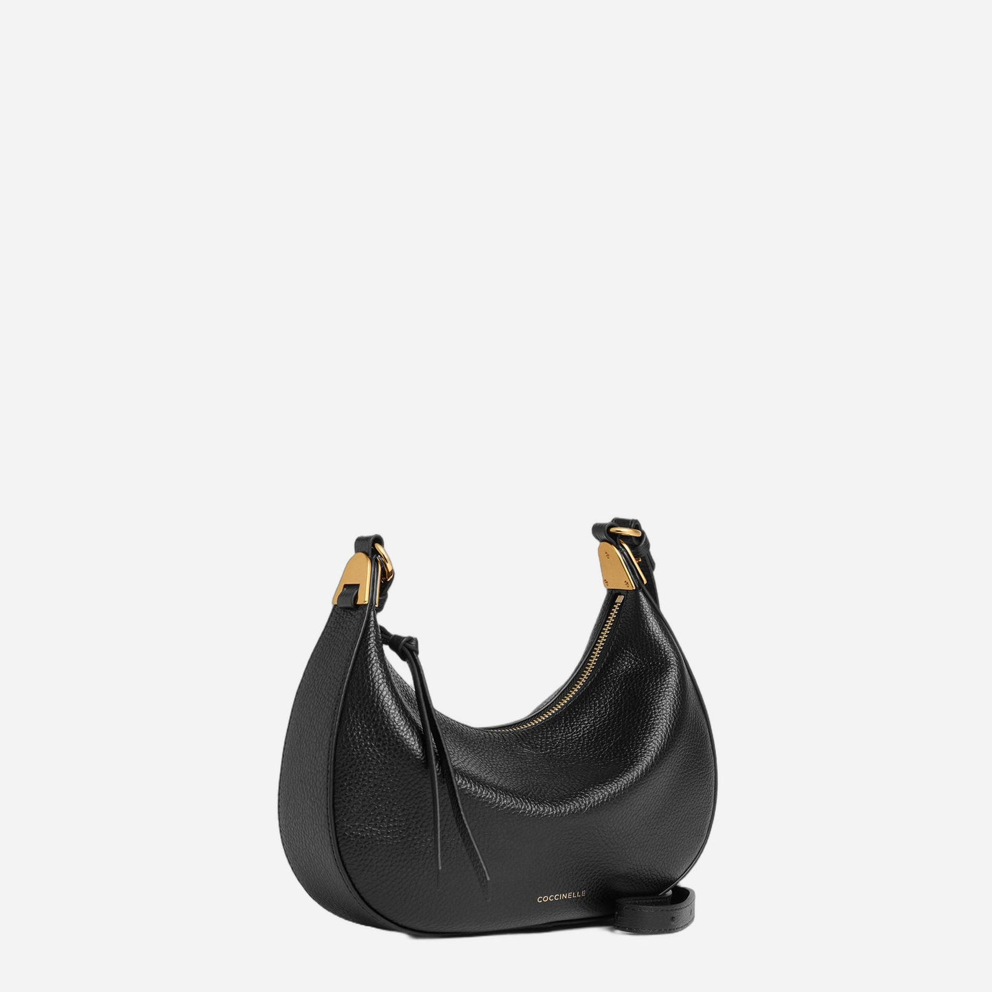 coccinelle  NOIR 